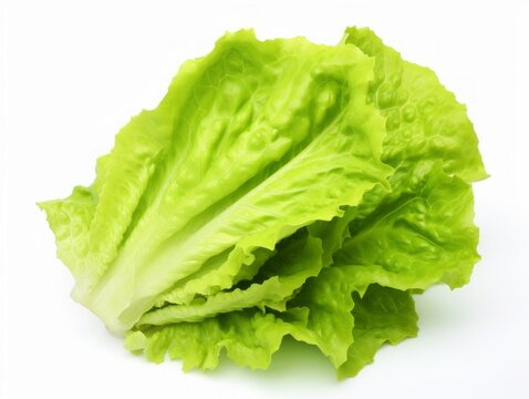 Experience the Vibrancy: Stunning Fresh Green Lettuce Isolated for Healthy Eating Generative AI