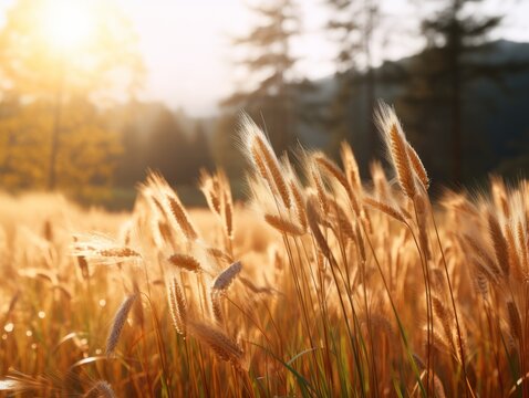 Discover the Serenity: Stunning Golden Wheat Field Backdropped by an Enchanting Forest Generative AI