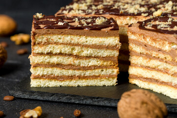 A piece of Dobosh cake