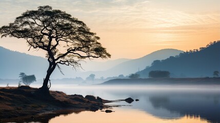 Landscape of Lake in the morning when the sun shines down to the lake full of mist, the dry tree lonely the foreground beautiful adorn the idyllic beauty in the highlands .