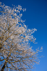 Winter im Erzgebirge