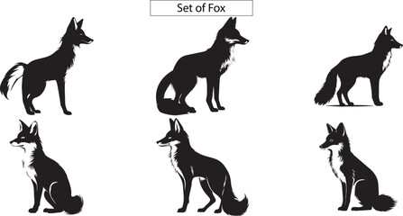 Set of fox isolated on white, vector