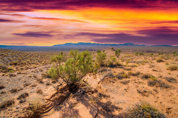 Enjoy the beauty of a desert sunset in the Red Boguta Mountains. Be mesmerized by the golden glow...
