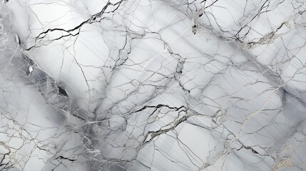 Interweaving Veins on Polished Marble Surface
