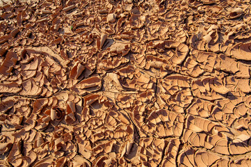 Texture. When the desert is painted with sand, behold the majestic dance of the Red Dune! Experience the mesmerizing textures and vibrant hues of this sun-drenched clay dune,