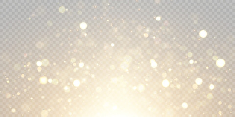 Gold dust light bokeh. Christmas glowing bokeh and glitter overlay texture for your design on a transparent background. Golden particles abstract vector background.	
