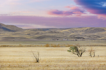 prairie, plain, desert. As the sun gracefully dips below the horizon, the desert comes alive with...