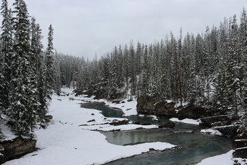 a creek surrounded by snow covered evergreen trees on a cloudy day