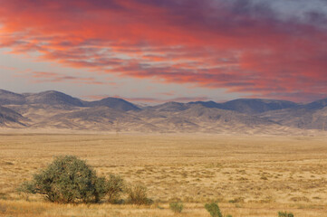 Steppe, prairie, plain, pampa. Beautiful sunset sky. Majestic mountains towering over a serene...