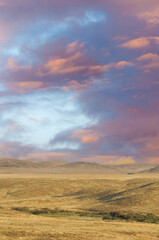 Steppe, prairie, plain, pampa. The golden hour gracefully colors the sky, casting a warm glow...