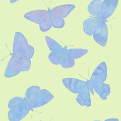 blue butterflies isolated on a light green background.