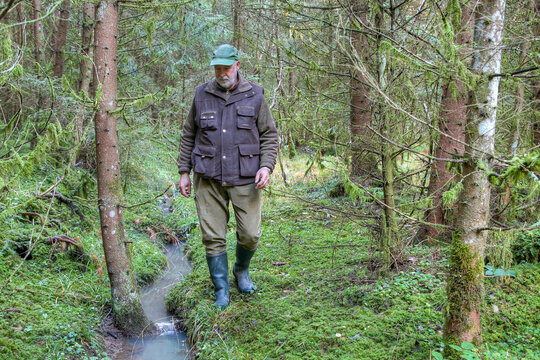 An adventurous man explores the wild forest accompanied by the gentle babbling of a stream. Closeness to nature and freedom in the midst of untouched nature.