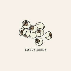 Line art lotus seeds drawing
