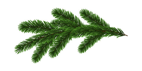 Green Christmas Fir Branch - obrazy, fototapety, plakaty