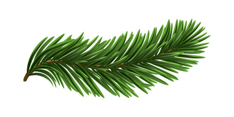 Green Christmas Fir Branch