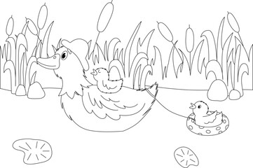 Vector coloring book with mother duck and ducklings