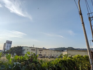 the most beautiful sight © 喬志 slurpee