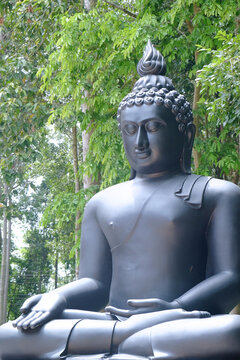 Black lord Buddha statue in a temple with background of outdoor green trees