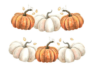 Watercolor composition with white and orange pumpkin, seeds. Hand-drawn, on a white background. It can be used in graphic and printing design, hole decoration, fabric, paper, posters, menus, booklets