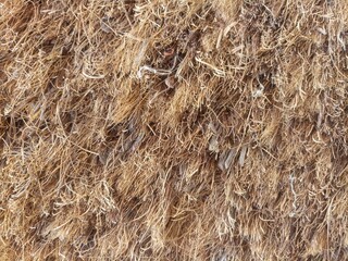 close up view of coconut husk fiber or coir for doormats. abstract background of coconut husk fiber texture
