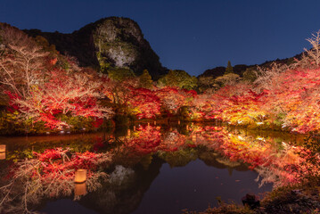 御船山楽園の紅葉ライトアップ