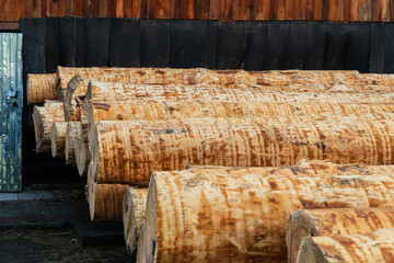 Sawing wooden logs on a sawmill. Production of wooden materials. Wood processing