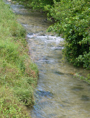 water flowing from a stream near the spring source