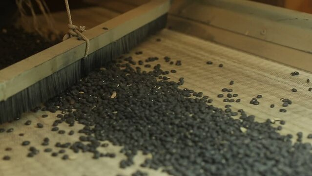 grain selection