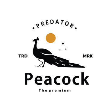 vintage retro hipster peacock logo vector outline silhouette art icon 