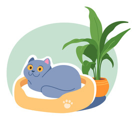 Cute cat pet lying in bed at home. Adorable kitten animal resting on comfortable sleeping place pillow, potted plant. Funny domestic feline mammal relaxation, coziness flat vector illustration