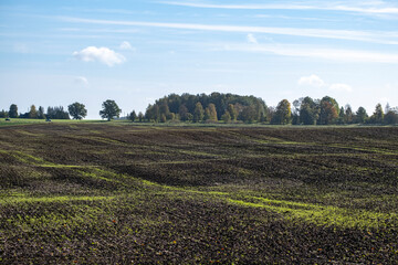 Fototapeta na wymiar agricultural field, plowed field, black soil, green grass, Latvia landscape