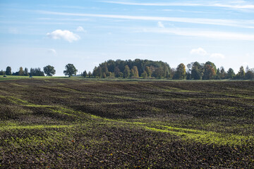 agricultural field, plowed field, black soil, green grass, Latvia landscape