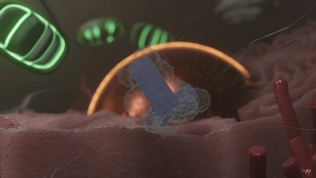 Centrosome: Mastering Cell Control