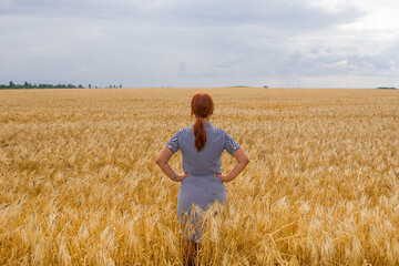 Naklejka na ściany i meble Girl in a wheat field