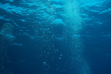 Fototapeta na wymiar Luftblasen unter der Wasseroberfläche