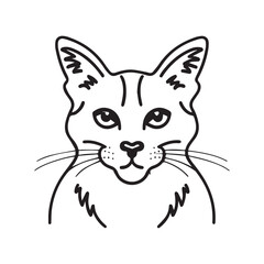 cat vector