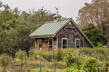 Small shed in the middle of a garden