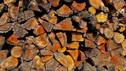 Pieces of wood cut for burning.