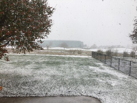 Snow falling and starting to coat the ground in Wichita. 
