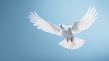 Obraz premium White dove flying in the sky. AI