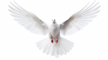 Fotobehang A free flying white dove isolated on a white background. AI © brillianata