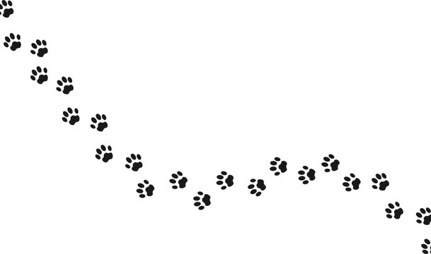 Footprints for pets, dog or cat. Isolated illustration on a white background. Vector illustration