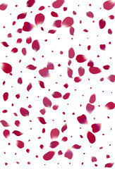 Purple Flower Japanese Vector White Background.