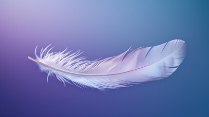  a close up of a white feather on a blue and purple background with a blurry image of a bird's wing.