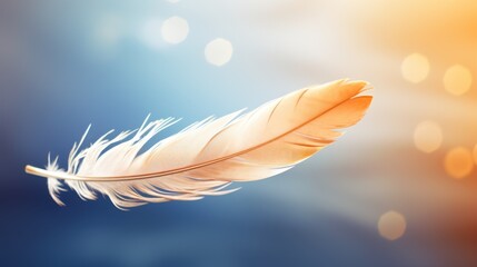  a close up of a white feather on a blue and yellow background with a blurry boke of light.