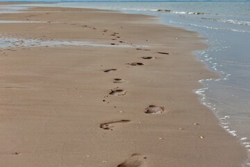footprints in the sand