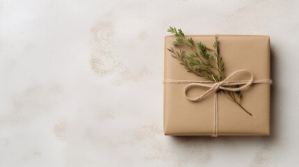  a wrapped present wrapped in brown paper and tied with a brown ribbon and a sprig of green leaves.