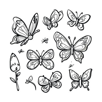 set of butterflies vector illustration