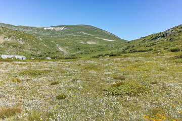 Fototapeta na wymiar Landscape of Rila mountain near Belmeken Dam, Bulgaria