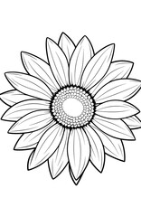 Background with sunflower with copy space.